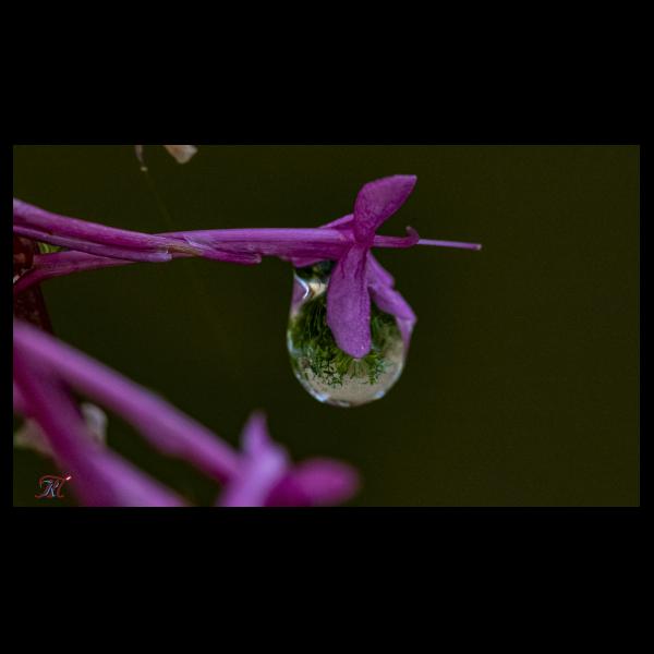 PHOTO84, CLUB, 84 , LUBERON